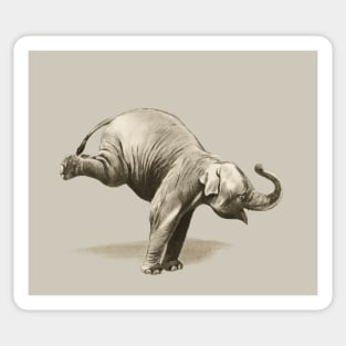 Circus Series Handstand Elephant Sticker